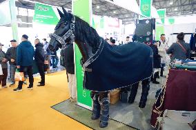 China Horse Fair in Shanghai