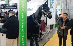 China Horse Fair in Shanghai