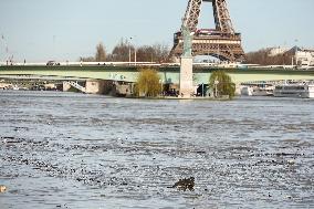 Debris And Waste Carried By The Seine River In Paris