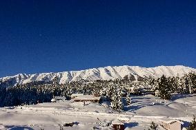 Kashmir: Sunny Morning After Snow Storm In Gulmarg