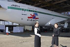Budget plane with women's support project logo