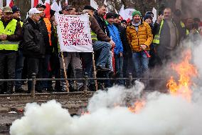 Polish Farmers Demonstrate In Warsaw