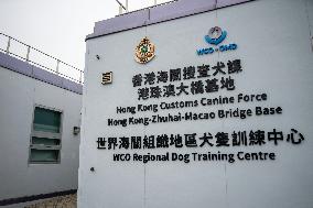 Hong Kong Custom Dog Training Centre Media Tour