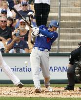 Baseball: MLB spring training