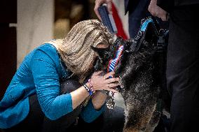 Medals of honor awarded to 7 dogs in military and law enforcement