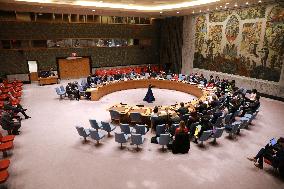 UN-SECURITY COUNCIL-SUDAN-MEETING