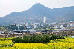 A Bullet Train Runs Among The Blooming Flowers