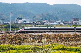 A Bullet Train Runs Among The Blooming Flowers