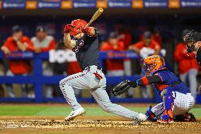 Nationals v Mets - MLB Spring Training