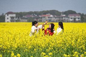 Rapeseed Flowers Tour in Goa'an