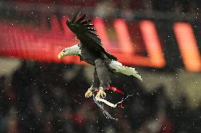 Europa League: Benfica vs Rangers