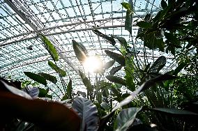 Zaporizhzhia Childrens Botanical Garden