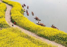 CHINA-SICHUAN-CHENGDU-RAPESEED FLOWERS (CN)