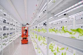 CHINA-HEBEI-GUANTAO-AGRICULTURE-TECHNOLOGY (CN)