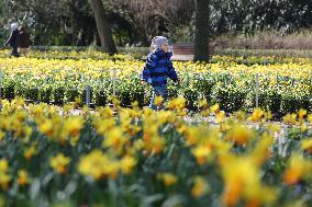 BELGIUM-BRUSSELS-DAILY LIFE-SPRING