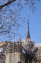 Notre-Dame De Paris Cathedral Reconstruction - Paris