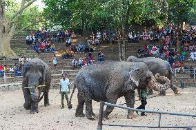 Zoological Garden In Colombo