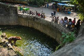 Zoological Garden In Colombo