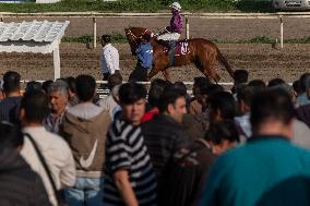Horse Racing in Iran