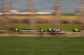 Horse Racing in Iran