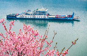 Cargo Ships Sailing in Yangtze River