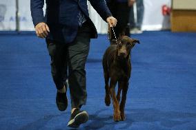 MYANMAR-YANGON-DOG SHOW