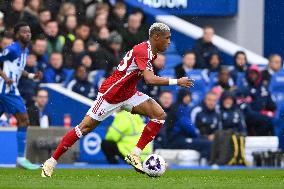 Brighton & Hove Albion v Nottingham Forest - Premier League