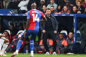 Crystal Palace v Luton Town - Premier League