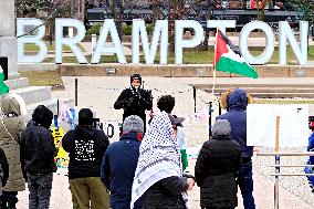 Brampton Pro-Palestine Protest