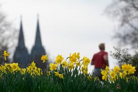 Spring Weather In Cologne