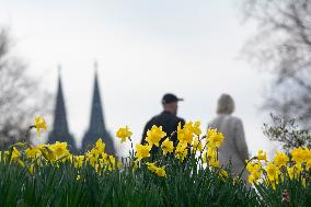 Spring Weather In Cologne