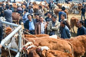 A Livestock Market in Qianxinan