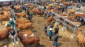 A Livestock Market in Qianxinan