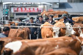 A Livestock Market in Qianxinan