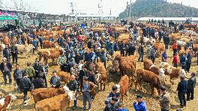 A Livestock Market in Qianxinan