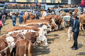 A Livestock Market in Qianxinan