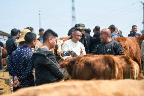 A Livestock Market in Qianxinan