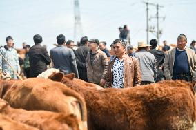 A Livestock Market in Qianxinan