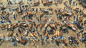 A Livestock Market in Qianxinan