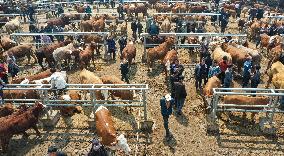 A Livestock Market in Qianxinan