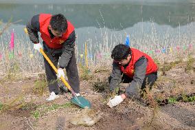 CHINA-HUBEI-ENDANGERED PLANTS-THREE GORGES RESERVOIR AREA (CN)