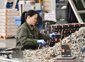 A Hardware Manufacturing Company in Handan