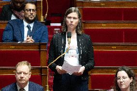 Session of questions to the government at the National Assembly - Paris