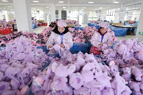 Toys Export in Lianyungang