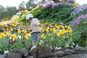 U.S.-SAN FRANCISCO-SPRING