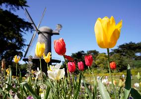 U.S.-SAN FRANCISCO-SPRING