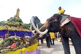 THAILAND-PATTAYA-ELEPHANT DAY