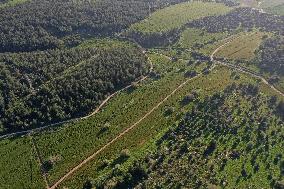 ISRAEL-BEN SHEMEN FOREST-AERIAL VIEW