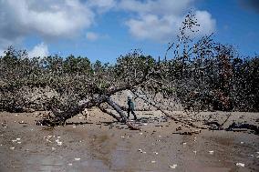 High Tide And Coastal Erosion - Ile D'Oleron