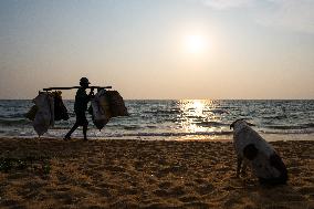 Daily Life In Colombo